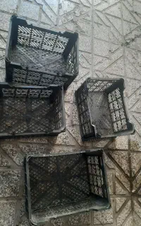 سبد