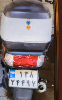 جهانرو کانگرو