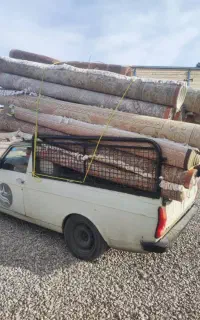 قالیشویی بزرگ ستاره شست شو فرش با شامپو تگزافن