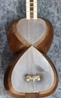 تار حرفه ای