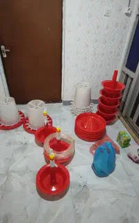 دانخوری و آبخوری اتوماتیک بوقلمون