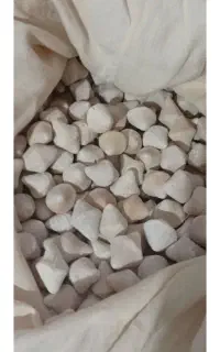 کشک گوسفندی