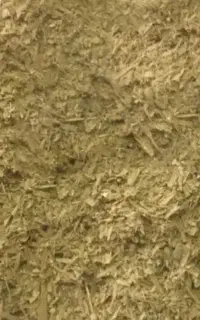 سبوس برنج دام