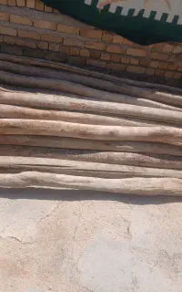 چوب خشک