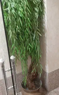 درختچه بید مصنوعی