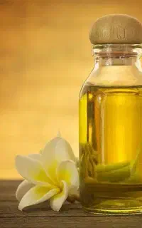 استخدام چند همکار ماسیس