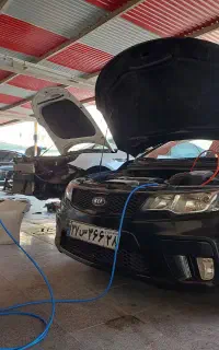 کربن زدایی و شستشوی کاتالیزور درجا
