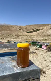 عسل چهل گیاه