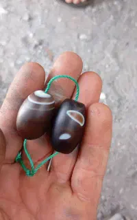 مهره اصل سلیمانی.بشرط تست