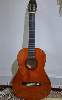 گیتار والنسیا cg170