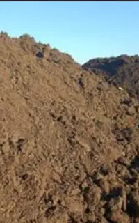 کود گوسفندی از دامداری
