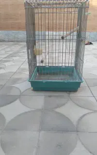 قفس پرنده