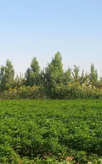 نیازمندی