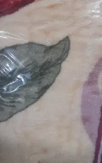 پتو گلبافت