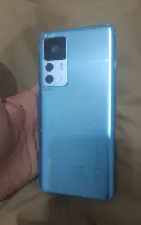 12 t