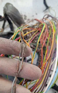 برق خودرو تخصصی رضا