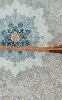 سه تار نو چوب توت