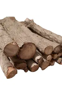 خریدار مقداری هیزم خشک