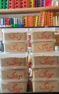 سرلاک انواع طوطی ریز