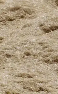 کاه سفیدگندم دیم