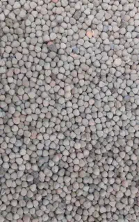 گاودانه (کوروشنع)