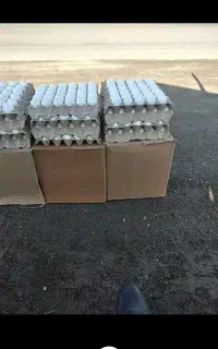 تخم مرغ تازه