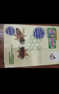 کتاب کلاس اول دبیرستان. کامل