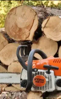 خرید و فروش انواع چوب و درخت بالاتر از قیمت بازار