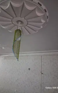 اسفندلوستری