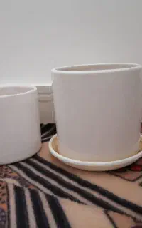 گلدون