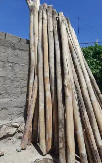 خریدار انواع چوب سقفی وضایعات