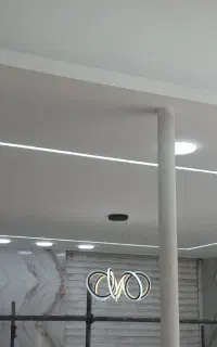 برقکار(برق کار،برقکش)توسط کارشناس برق قدرت