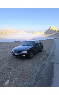 مسافر شیراز برازجان و بوشهر