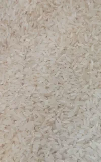 برنج پاکستانی دولتی
