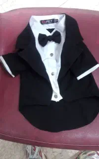 لباس و کفش سگ
