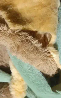 خورده پارچه تیکه پارچه