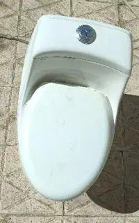فرنگی کارکرده در حدنو