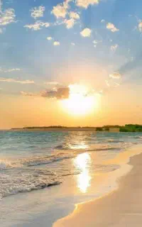 آفر ویژه فرمالیته شمال عروس