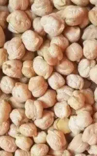فروش نخودسفیدتمیزپزا