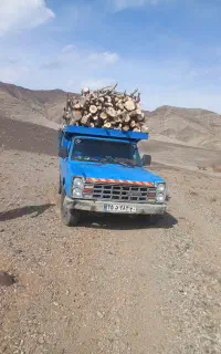 خریدهمه نوع چوب