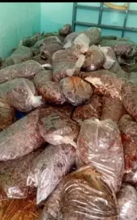 خریدار ضایعات خرما
