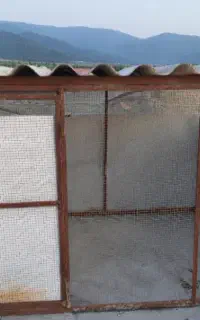 قفسه کبوتر