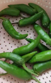 سبزی جات