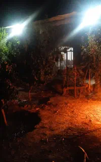 باغ  درشبستر