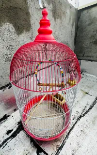قفس پرنده سایز بزرگ