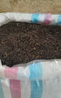 چای ممتاز.قلم۱.قلم۲.سبز