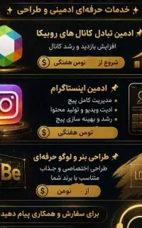 ادمین غیر حضوری فضای مجازی هستم
