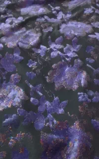 پارچه مخمل برنود