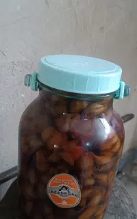 سیرترشی 6 ساله به شرط تست
