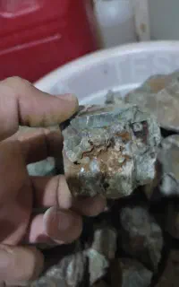 سنگ طلا